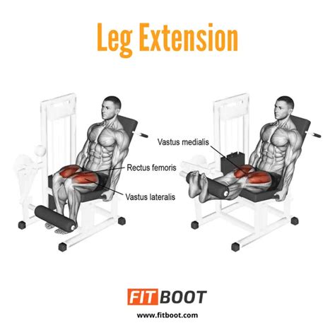 Leg Extension: How To, Benefits, Variations, & Muscles Worked