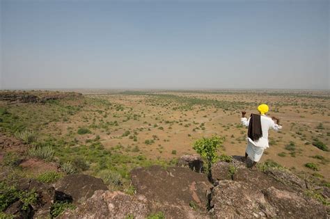 Policy Brief: Conserving Maharashtra’s Savannah Grasslands | by Anuja ...