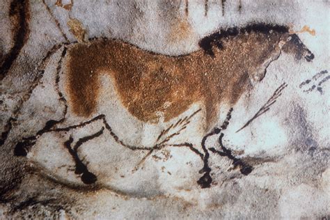 Cave Paintings Horse