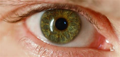 Green Eyes | Gorgeous Eyes | Flickr