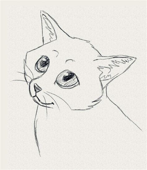 Kitty Realistic Kitty Cute Cat Drawing - halvedtapes