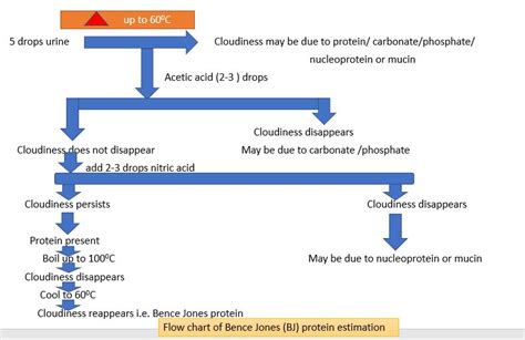 Get married defeat threaten kappa bence jones proteinuria Mariner ...