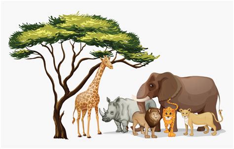 Pictures Of Jungle Animals Png - African Animals Clip Art, Transparent Png - kindpng