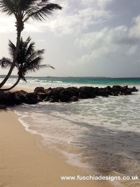 The beach at Turtle Beach Resort in Barbados. By www.fuschiadesigns.co.uk. | Greeting cards ...