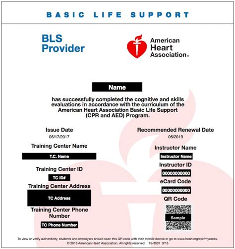 Basic Life Support (BLS) in Houston, Sugar Land & The Woodlands