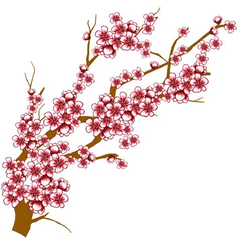 Cherry Blossom Tree Clip Art - ClipArt Best