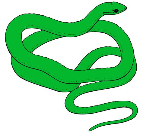 Snake Clipart Snakeclipart Snake Clip Art Animals 4 Wikiclipart | Porn ...