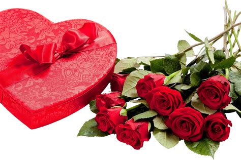 Valentine’s Day Roses Ideas For Your Love – InspirationSeek.com