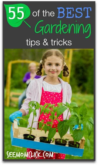 55 of the Best Gardening Tips and Tricks | See Mom Click