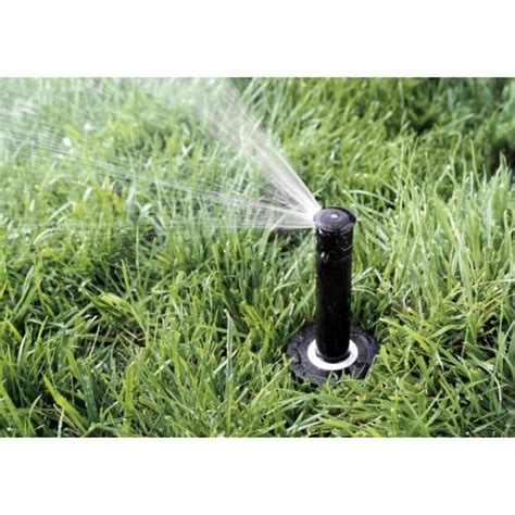 Rain Bird 1800 Professional Series 8-ft-15-ft Pop-up Spray Head Sprinkler in the Underground ...