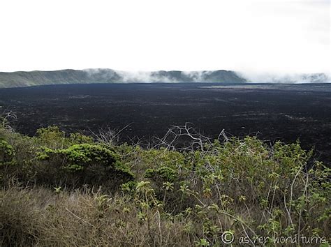 Solo Trip: Isabela Island, Galapagos | As Her World Turns