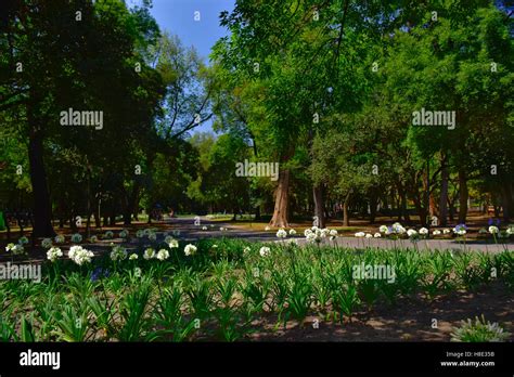 Chapultepec Park, Mexico City, D.F., Mexico Stock Photo - Alamy