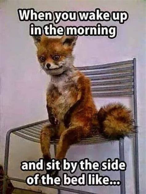 25 Funny Morning Memes That Are A Little Too Accurate - SayingImages.com