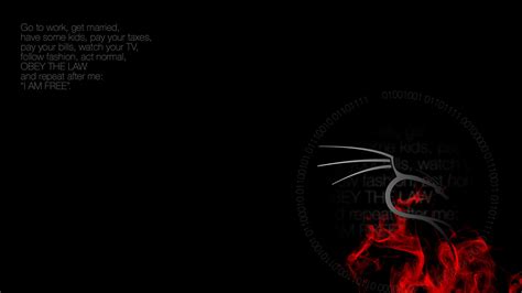 Kali Linux Dark Wallpaper 4k