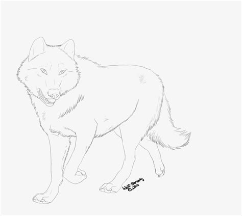 Wolf Walking Drawing