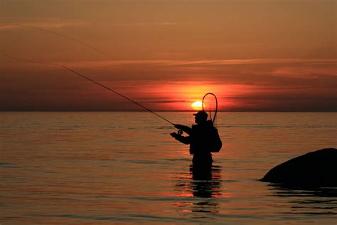 Curious About The Nightlife In The Maldives? This is for YOU! | MaldivesIslandsResorts