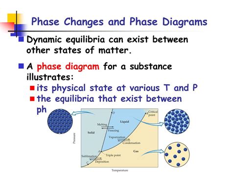 Phase Changes And Phase Diagrams