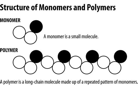 Polymer implies numerous monomers - the characterization accumulation - POLYFILL