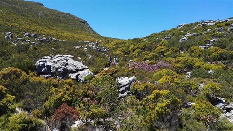 Devil’s Peak Hiking Trail | The Hiking Chronicles