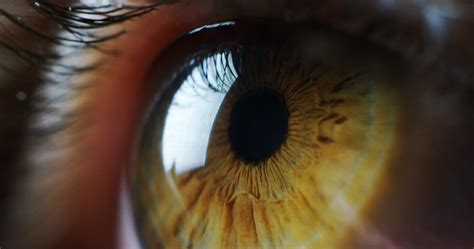 Retinitis Pigmentosa Gene Therapy Trial Finishes Dosing Second Cohort