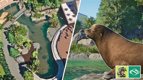 East Coast Zoo - Sea Lion Habitat Build | Planet Zoo - YouTube