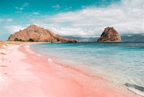 Pink Beach in Labuan Bajo - The Best Pink Beach in Indonesia | Pink beach, Beach, Komodo ...