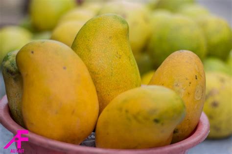 Types of mangoes grown in Jamaica – Taste of Jamaica Tours