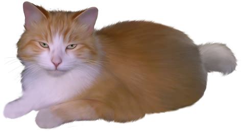 Free Cat Png Clipart, Download Free Cat Png Clipart png images, Free ClipArts on Clipart Library