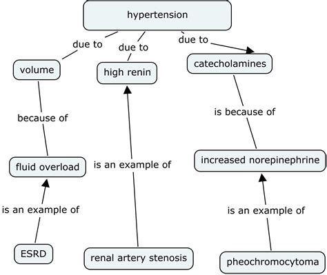 Urinary System Concept Map