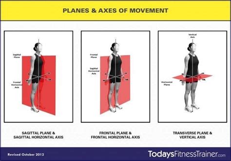 Understanding Exercise - Planes, Axes and Movement