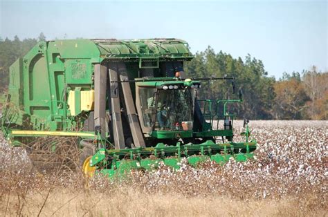 Cotton Harvest and the Winter Pasture 2018 – Sundown Farms