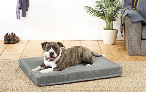 FRISCO Rectangular Pillow Dog Bed w/Removable Cover, Dark Gray, X-Large - Chewy.com