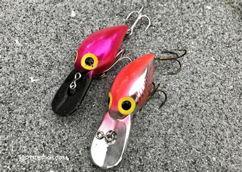 10 Amazing Lures for Coho Salmon in Rivers