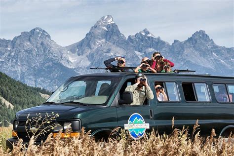 Jackson Hole & Grand Teton Wildlife Tours | Wildlife tour, Grand tetons, Wildlife adventure