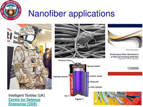 PPT - Elastic conducting polymer composite nanofibers PowerPoint ...