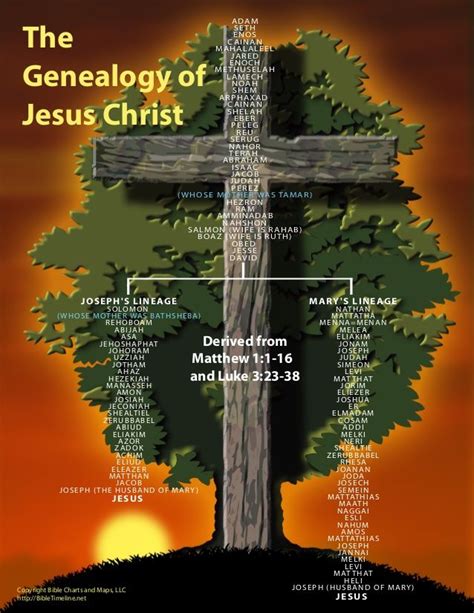 The genealogy of Jesus Christ | Genealogy of jesus, Bible genealogy, Jesus family tree