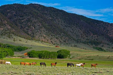 Our Wild Horse Ranch is conveniently located just 15 minutes west of Laramie, Wyoming in Albany ...