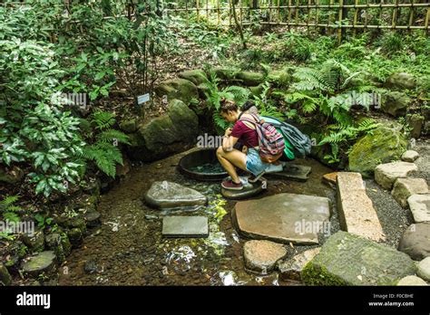 Meiji Jingu Shrine Inner Garden,Shibuya-Ku,Tokyo,Japan Stock Photo - Alamy