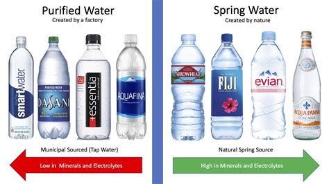 Purified Water vs Spring Water