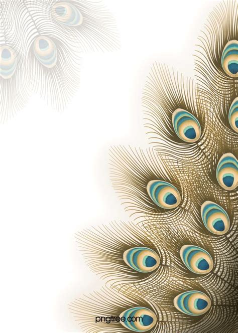 Peacock Border Wallpaper