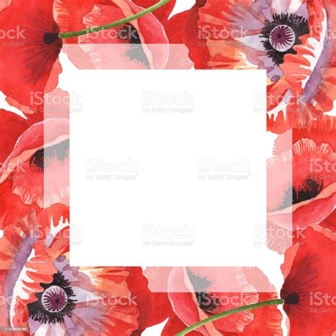 Red Poppy Floral Botanical Flowers Watercolor Background Illustration ...