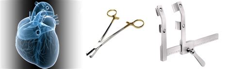 Cardiovascular surgical instruments | Cardiothoracic surgical instruments