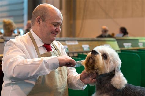 Woof! The 125th Annual Crufts Dog Show - ABC News