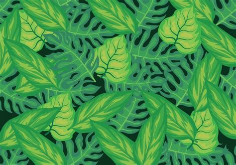 Tropical Leaves Background 140600 Vector Art at Vecteezy