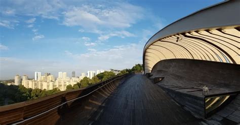 Henderson Waves Bridge in Singapore - Know Everything About