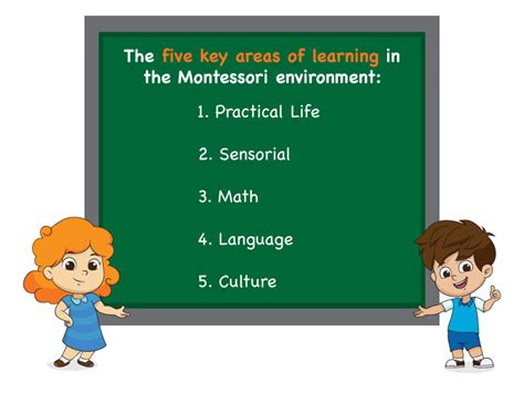 5 Areas Montessori Curriculum | North American Montessori