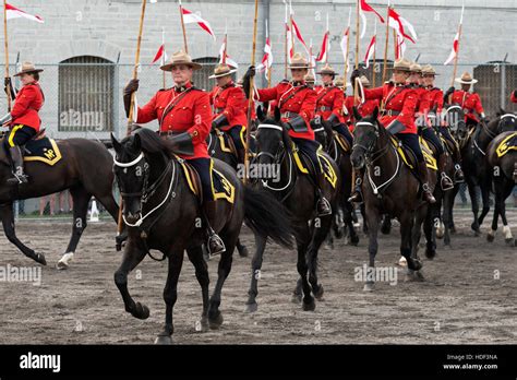 Royal Canadian Mounted Police Horse Ontario Canada Stock Photo - Alamy