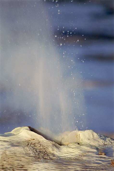 Free Stock photo of Geyser Erupting in Hveravellir Nature Reserve | Photoeverywhere