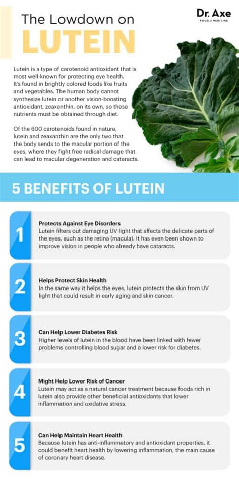 Lutein Benefits, Uses, Foods, Side Effects and More - Dr. Axe