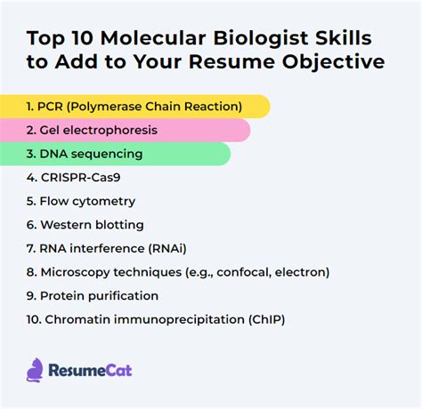 Top 17 Molecular Biologist Resume Objective Examples